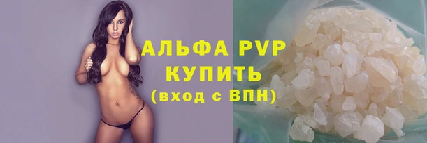 Альфа ПВП Ладушкин